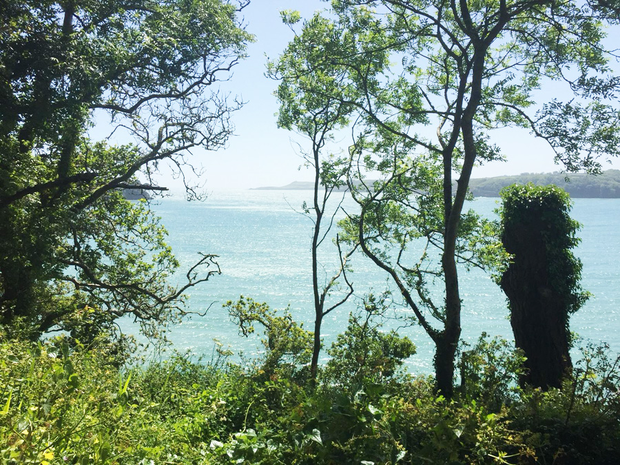 Grebe beach near Mawnan Smith