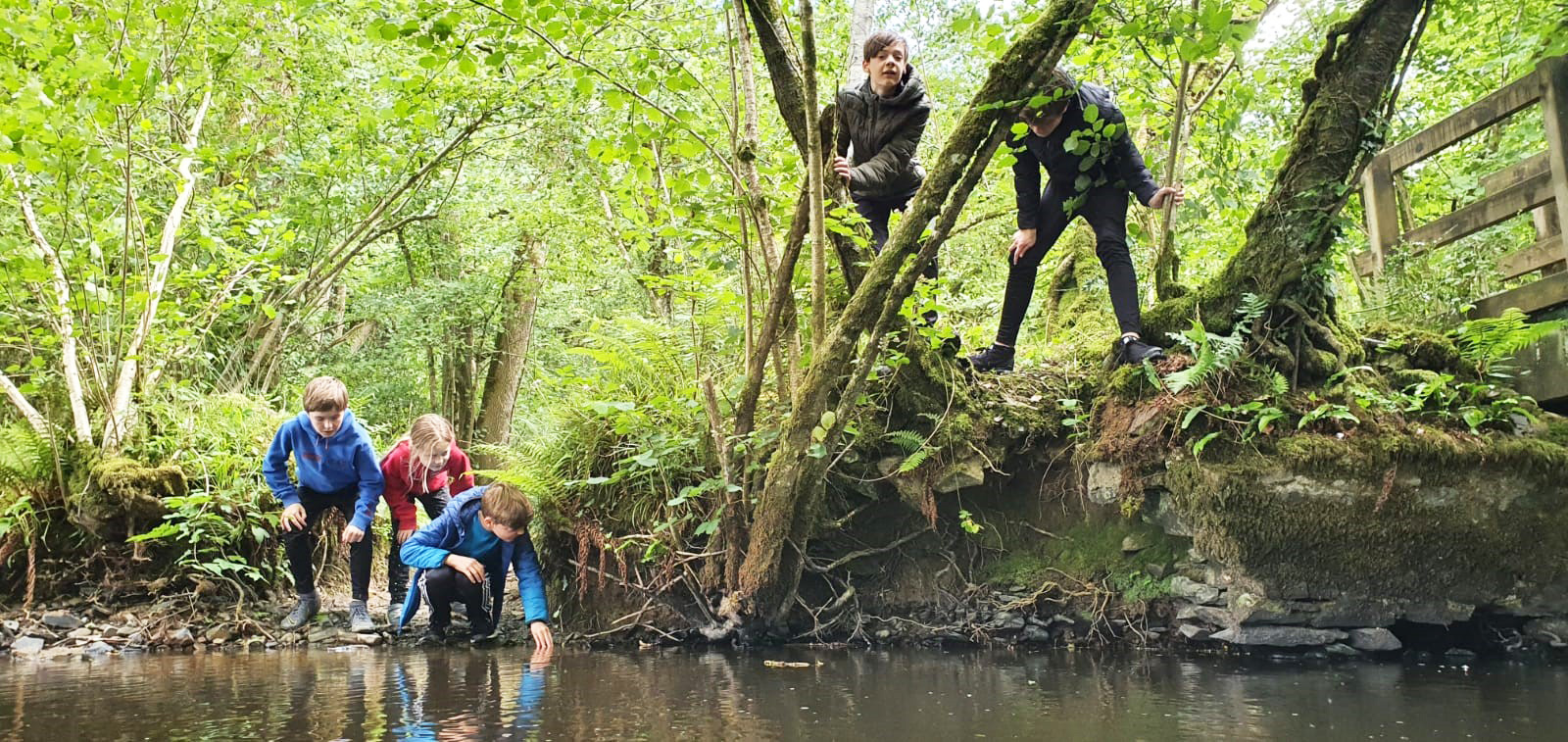 kids find a grass snake in the brook