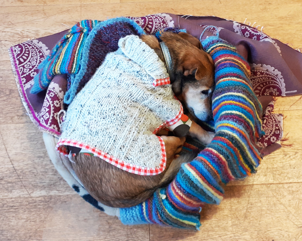 Bill in his bed wearing a cable knit jumper