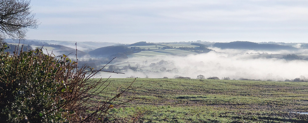 misty fields in Devon